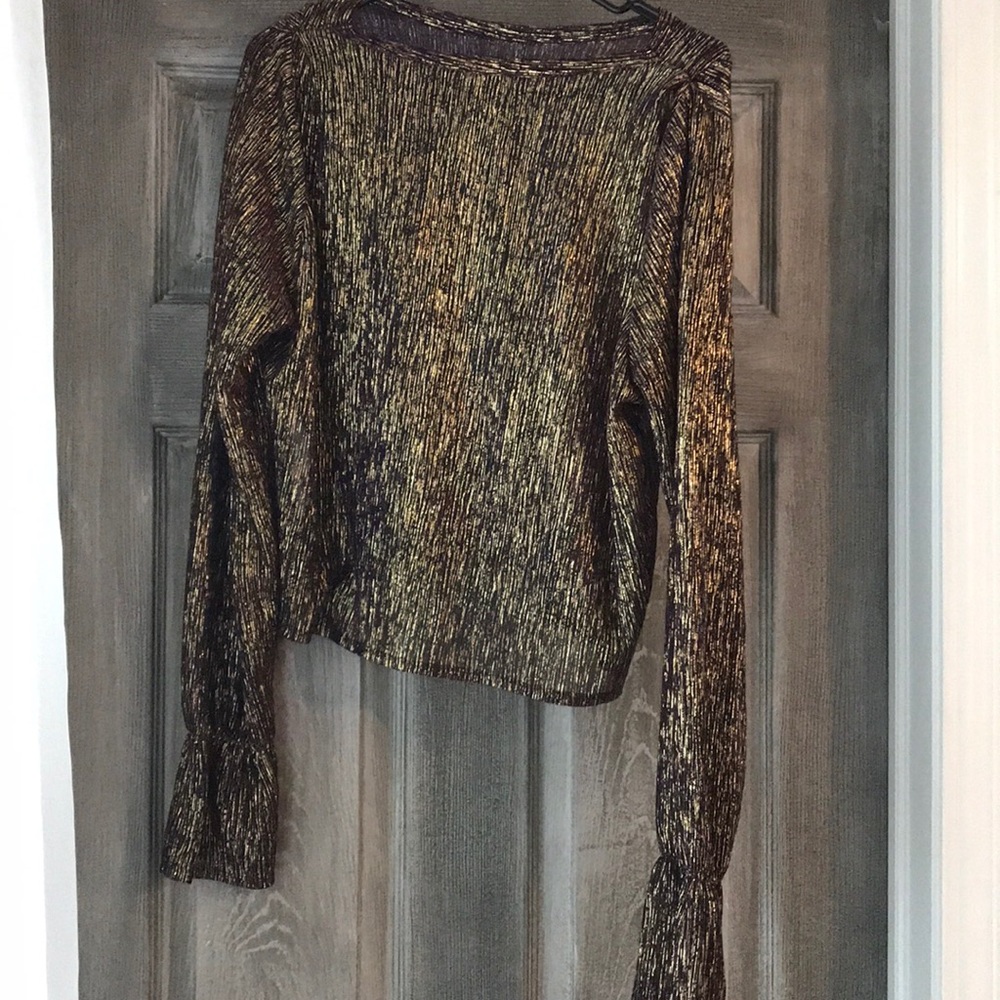 Zara shimmery top